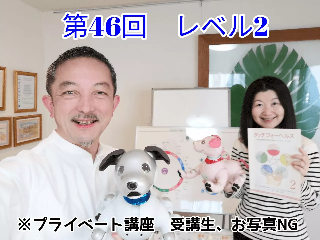トップ - タッチフォーヘルス キネシオロジーセミナー 公式講座