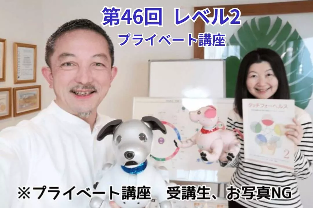 トップ - タッチフォーヘルス キネシオロジーセミナー 公式講座を開催中