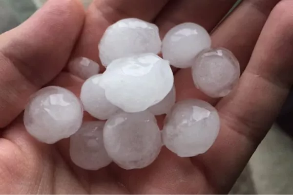 Hail Damage Repair - 821 Collision North Haledon NJ Hail Damage Repair - 821 Collision North Haledon NJ