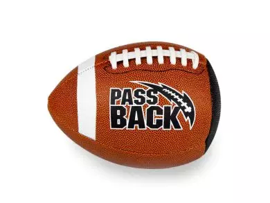 Official Composite Passback Training Football (Ages 14+)