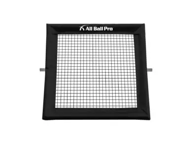 All Ball Proยฎ – Net Frame