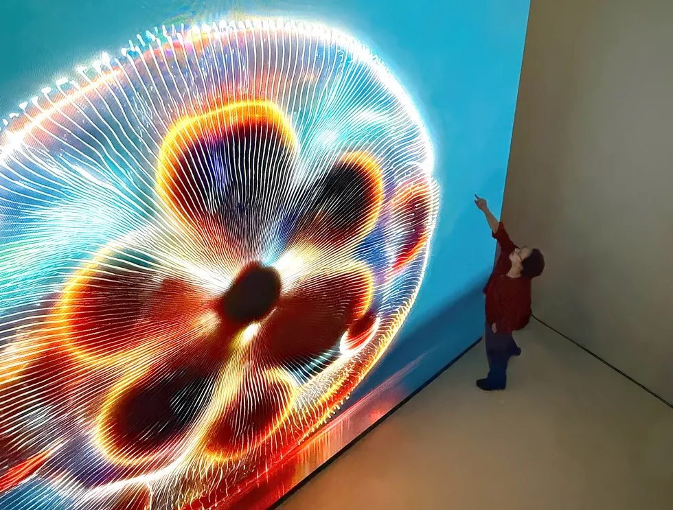 At the Edge of Nature and Code: Jinjoon Lee's Poetic Media Worlds