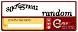 Recaptcha example Recaptcha example