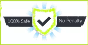 Social Signals 2 Google Safe - Social Signals