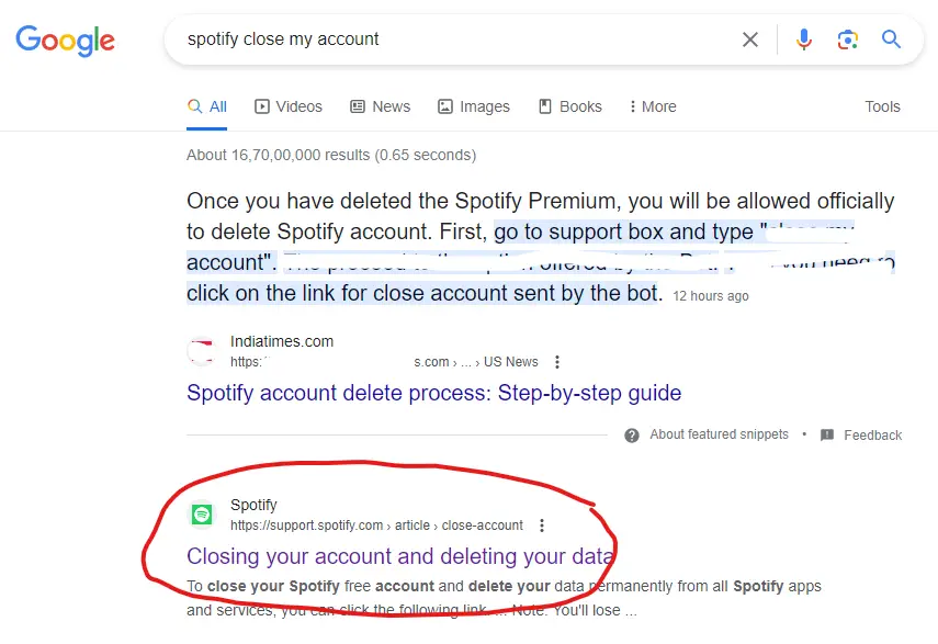 Google result for close Spotify account