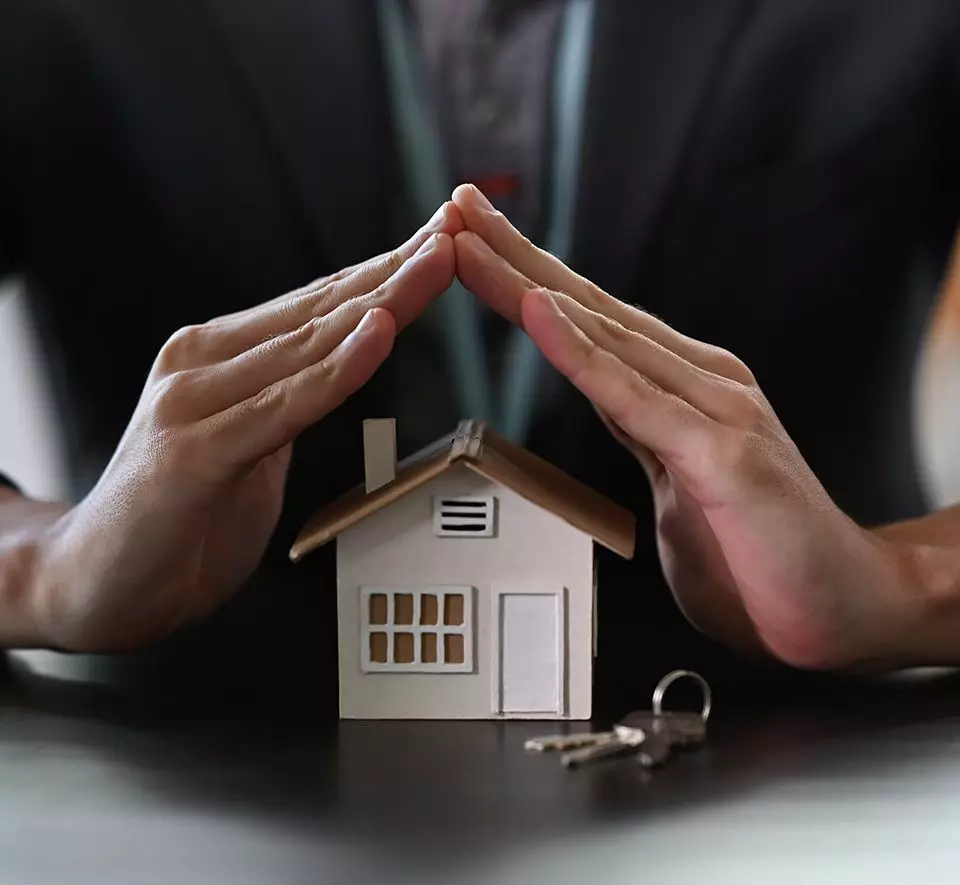 Business Development | Your Impactful Partnership | Avo Vision