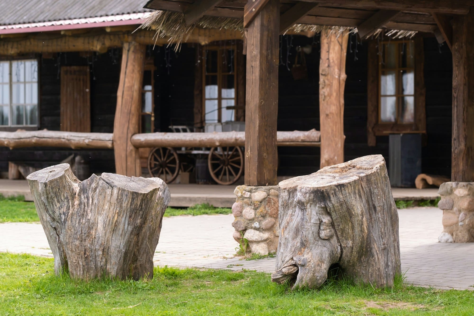 Deux grandes souches d'arbres utilisées comme sièges extérieurs rustiques devant une cabane en bois avec un toit de chaume et des piliers en pierre.