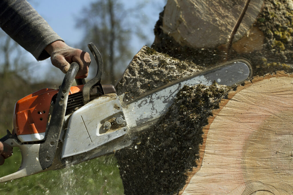 Man cuts a fallen tree.
