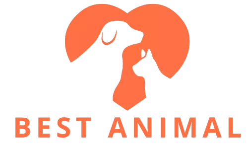 Best Animal