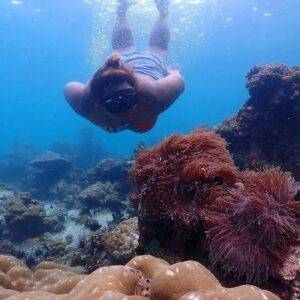 Pic - Seastar - Lazy Phi Phi - Best Phuket Travel (4)