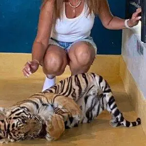 Pic - City Tour - Tiger 3 - Chummy - Best Phuket Travel