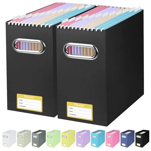 BALEINE File Organizer Box (2 Pack)