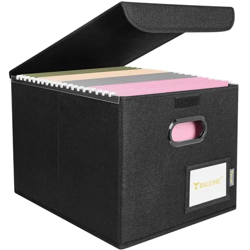 Baline File Organizer Box with Lid (Collapsible)