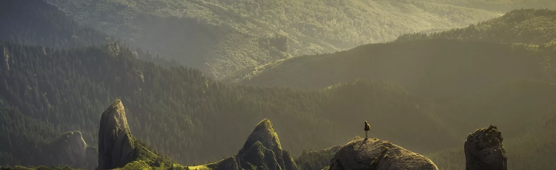 Black Core Affiliate