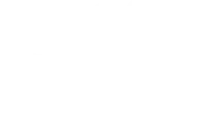 Falcon Nutrition white logo