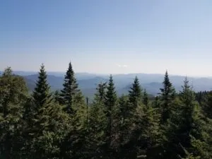 Image-6 shows evergreen trees in the foreground with rolling blue mountains and a clear sky in the background.