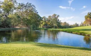 Image-16 shows a calm pond encircled by green grass and tall trees beneath a clear blue sky with scattered clouds, with the water reflecting both the trees and the sky.