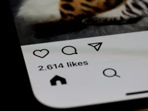 Close-up of image-10 showing a smartphone screen with an Instagram post (2,614 likes), heart, comment, and share icons visible, plus part of a photo with an animal's spotted fur.