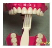 How to Brush Your Teeth 2 toothbrush 2