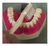 How to Brush Your Teeth 3 toothbrush3