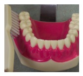 How to Brush Your Teeth 4 toothbrush4