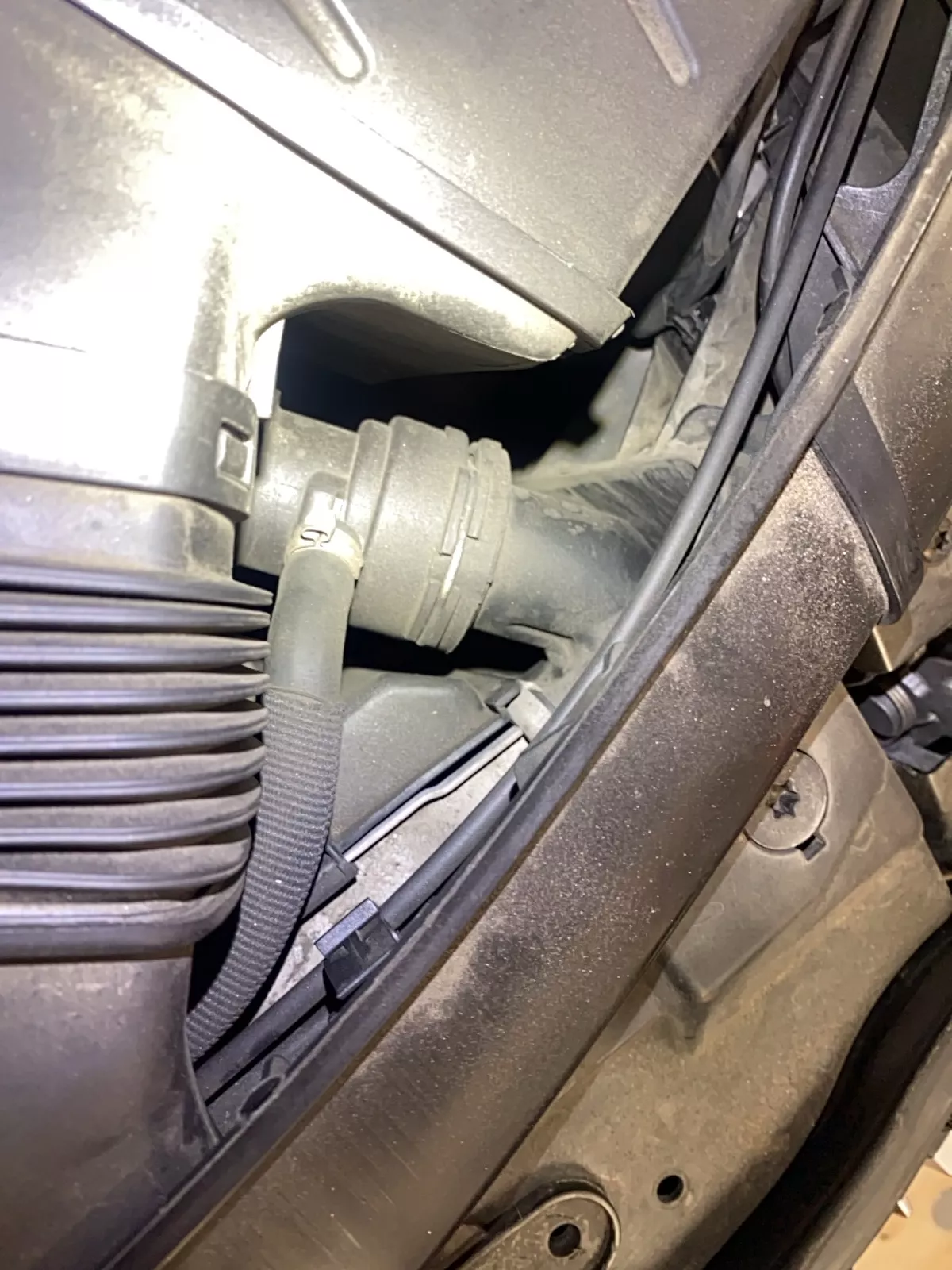 Why is my BMW leaking coolant? Brock Automotive Import Service