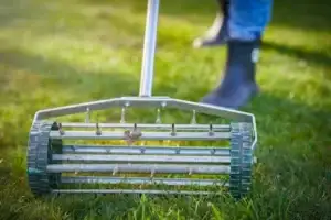 lawn aerator