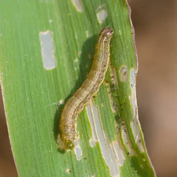 2021-waynes-linkedin-31