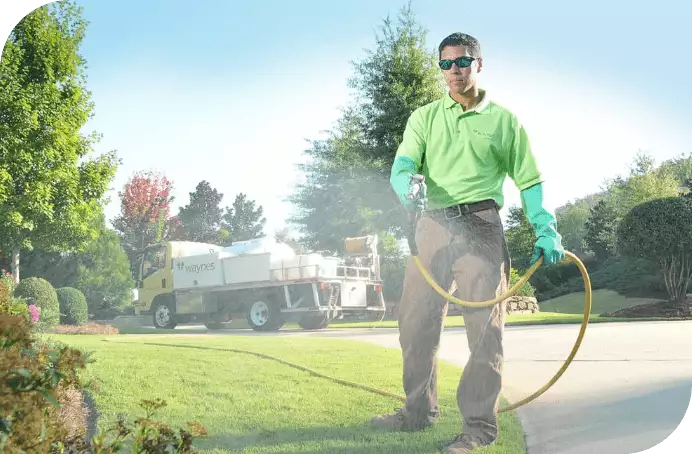 pest control birmingham