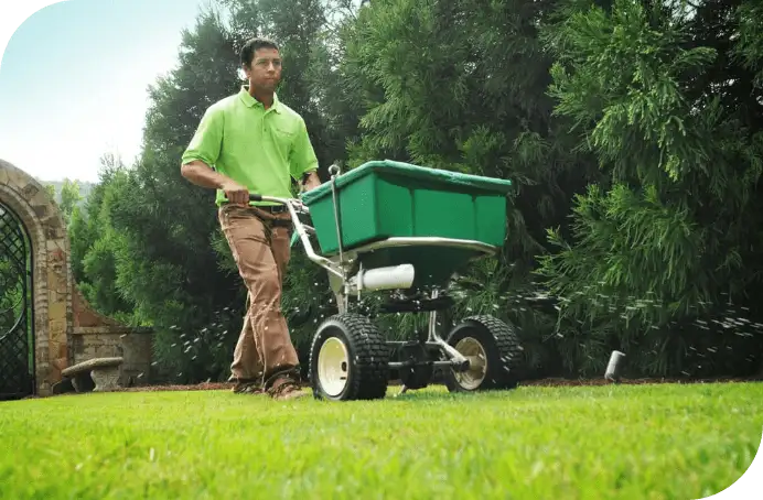 lawn care and pest control