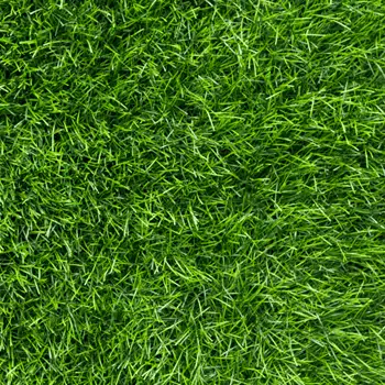 aeration-full-length-banner