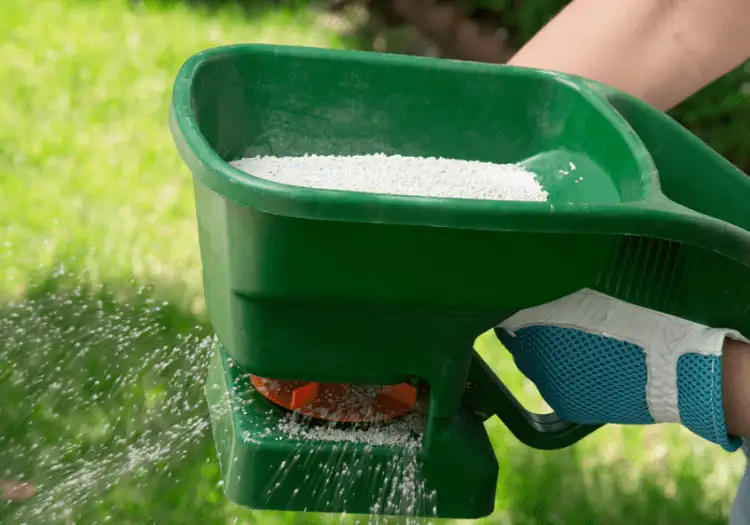 fertilizer
