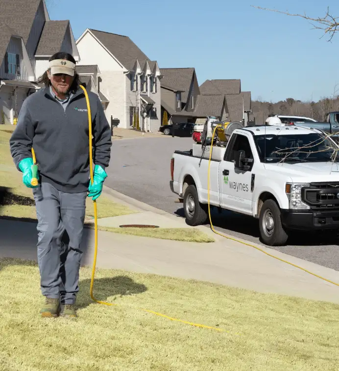 Untitled design (14)