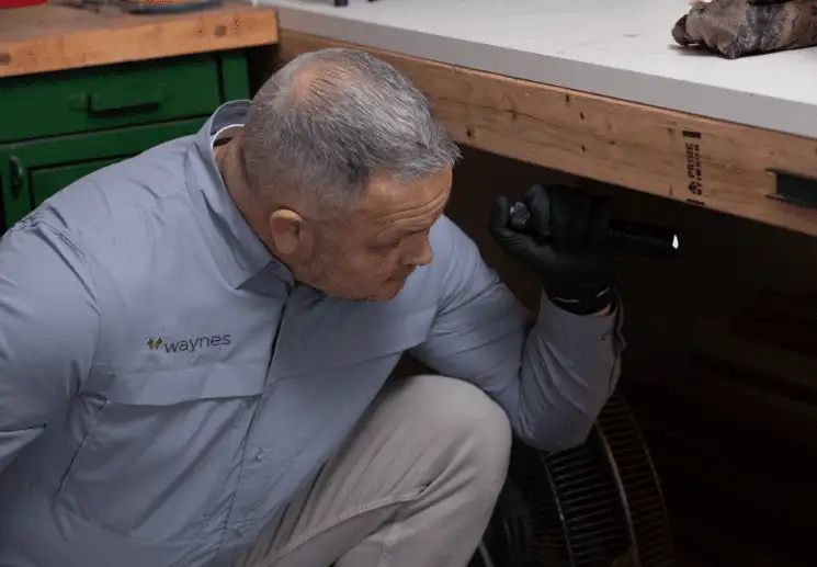 Untitled design (21)