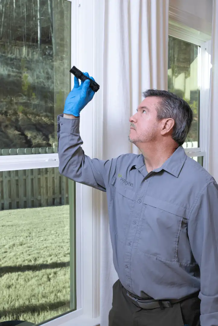 Untitled design (22)