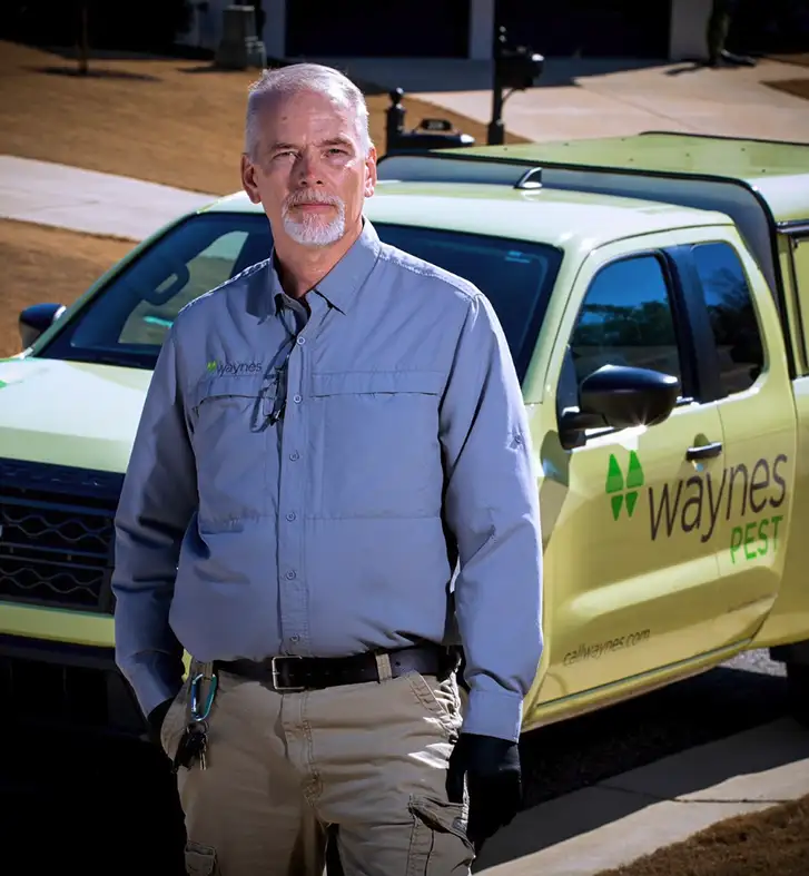Waynes_Pest Control Done Right