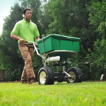 lawn care and pest control