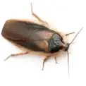 02d5c6ae6eb7aede7438791bf50c18c6