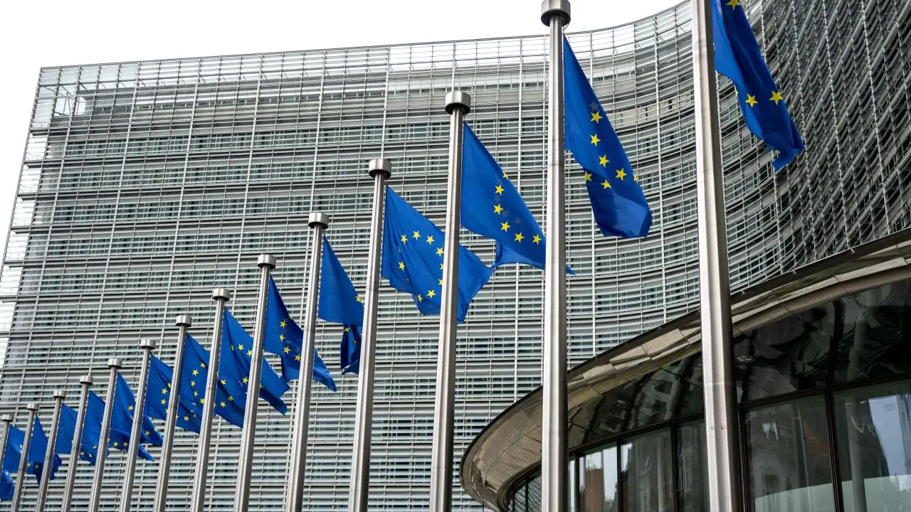 EU flags eu flags