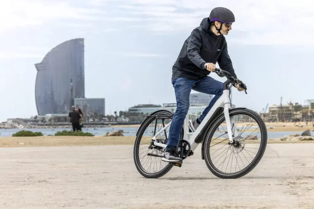 Riese & Müller UBN Six