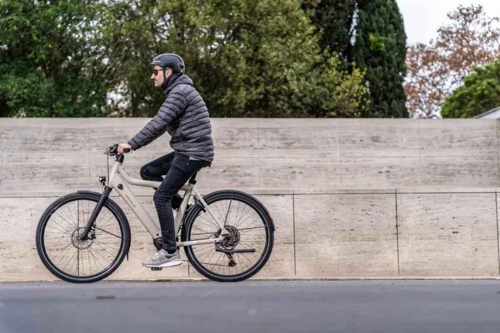 Test Riese & Müller Culture Touring