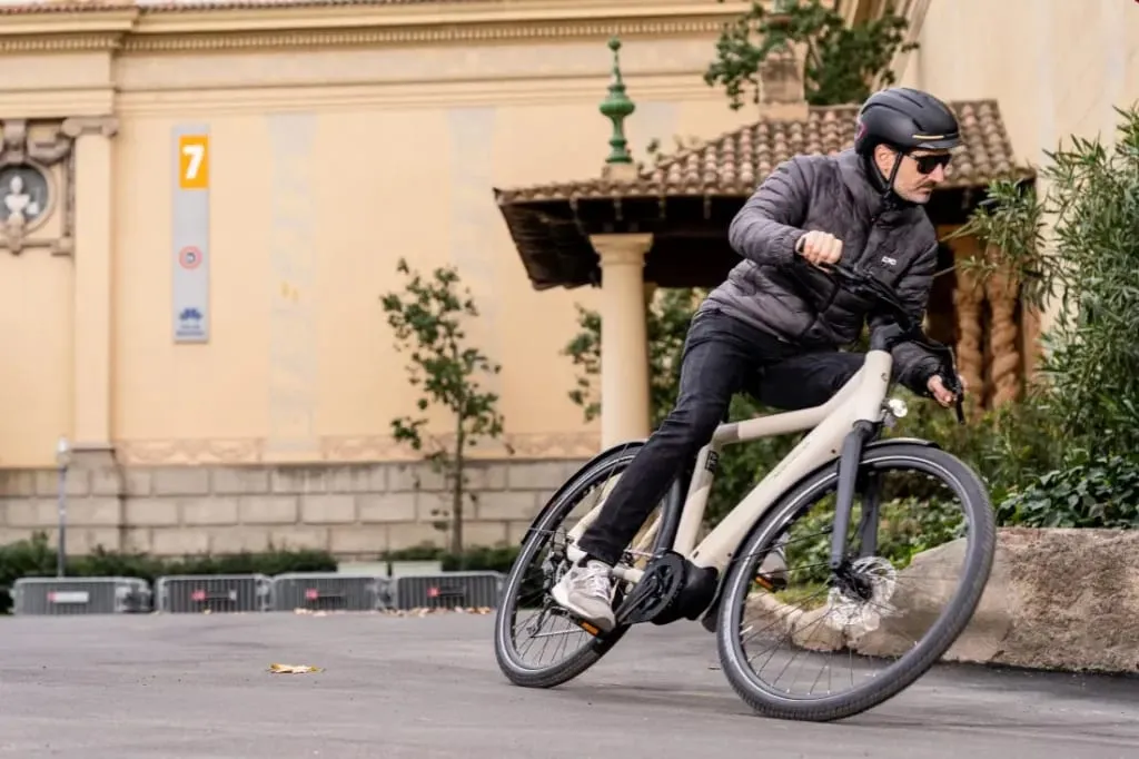 Test Riese & Müller Culture Touring