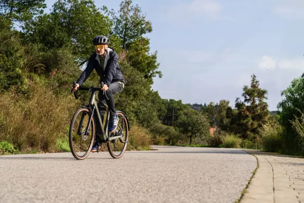 Pasear en una bicicleta Riese & Müller por una carretera asfaltada rodeada de frondosos árboles y vegetación bajo un cielo despejado ofrece una emocionante escapada del ajetreo urbano.