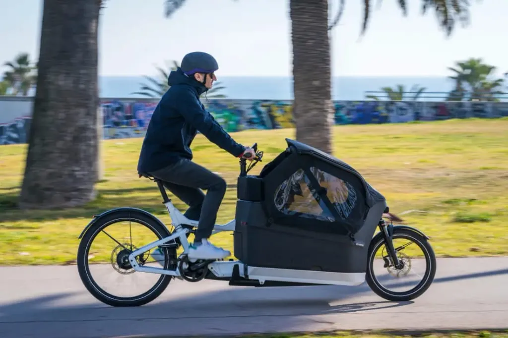Una persona pasea por un parque junto al mar en una bicicleta de carga eléctrica con compartimento cubierto y palmeras meciéndose de fondo. Ideal para familias urbanas, este modelo de Riese & Müller combina estilo y practicidad para aventuras costeras.