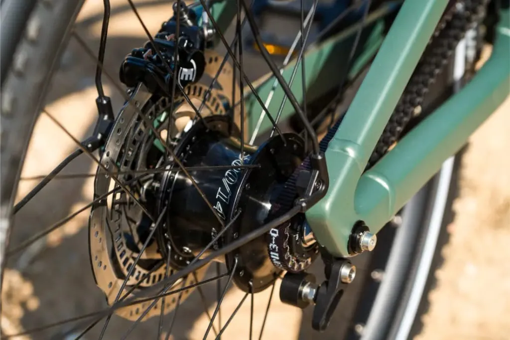 Primer plano de la rueda trasera de una bicicleta Riese & Müller Superdelite5 GT rohloff con freno de disco y cuadro verde, fotografiada al aire libre.