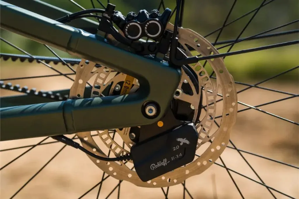 Primer plano del mecanismo de freno de disco trasero y buje de cambio de una Riese & Müller Superdelite5 GT rohloff, resaltando el rotor y los cables de metal.
