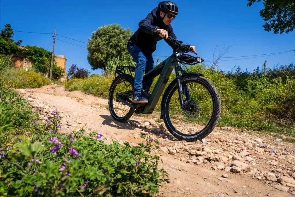 Descendiendo en una bicicleta eléctrica Riese & Müller Superdelite5 GT rohloff, el ciclista recorre el rocoso sendero de aventuras, rodeado de vegetación vibrante y flores silvestres.