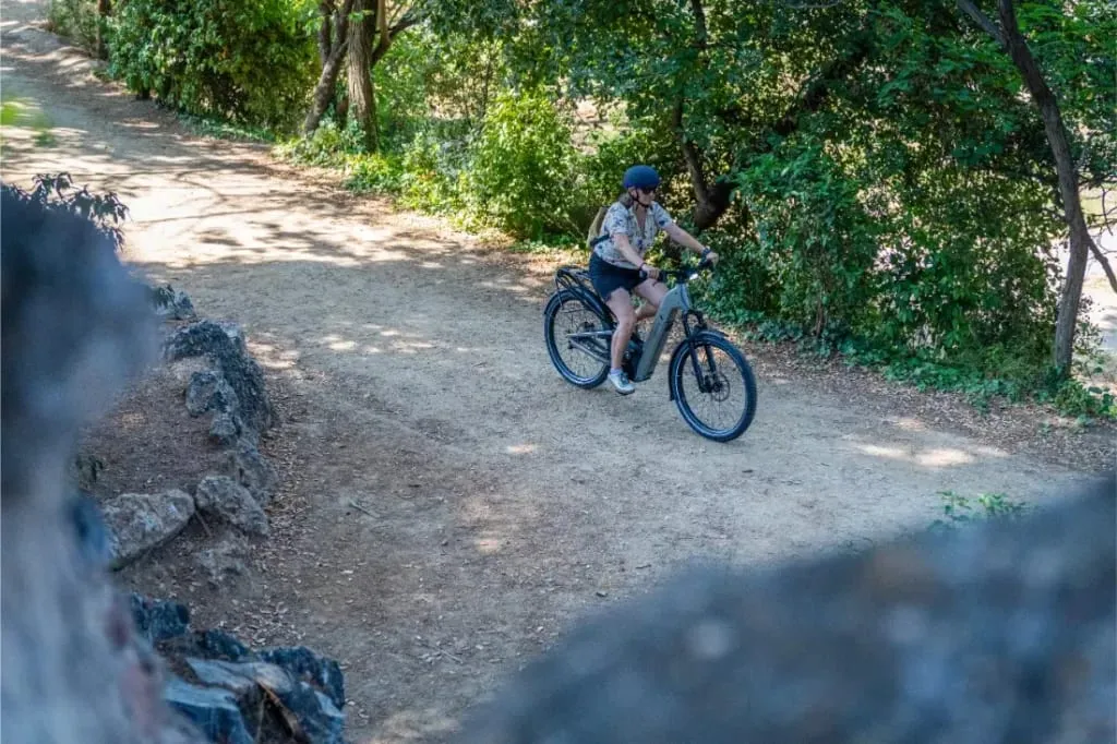 Una persona monta en una bicicleta Homage5 de Riese & Müller por un camino de tierra a través de un parque o zona forestal sombreada y frondosa.