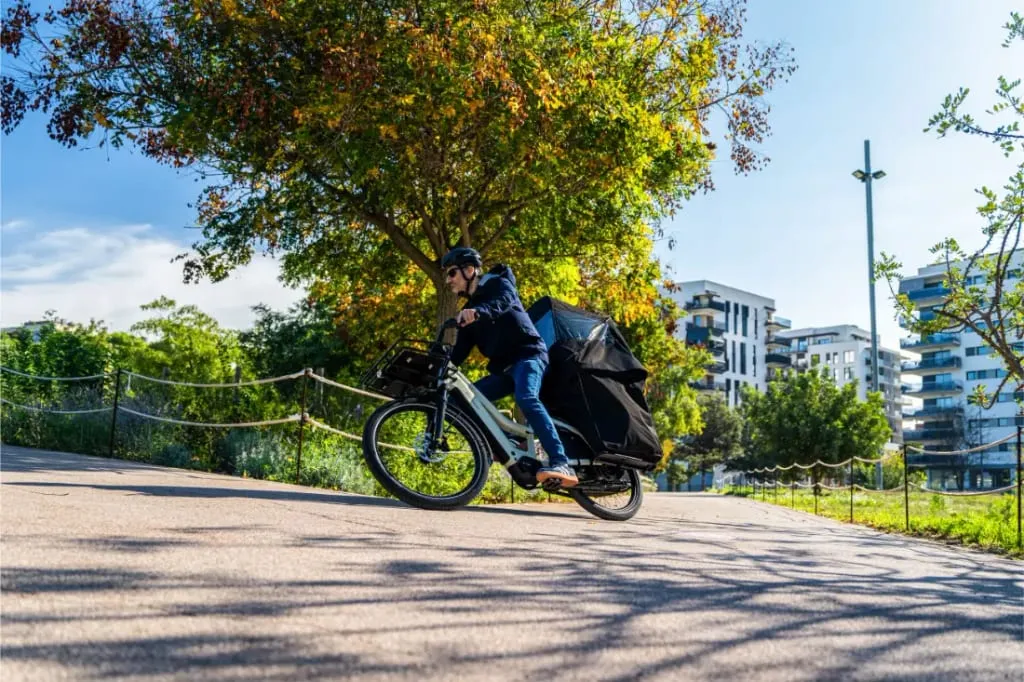 Una persona monta en una Riese & Müller Multicharger3 Mixte Vario, repartiendo carga en un soleado parque urbano bordeado de árboles y edificios modernos.