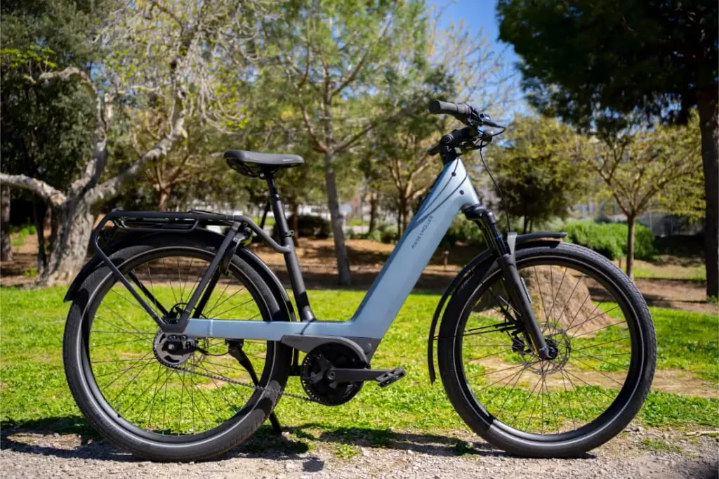 Una Riese & Müller Nevo5 bicicleta eléctrica gris está aparcada en un camino de un parque soleado rodeado de hierba verde y árboles.